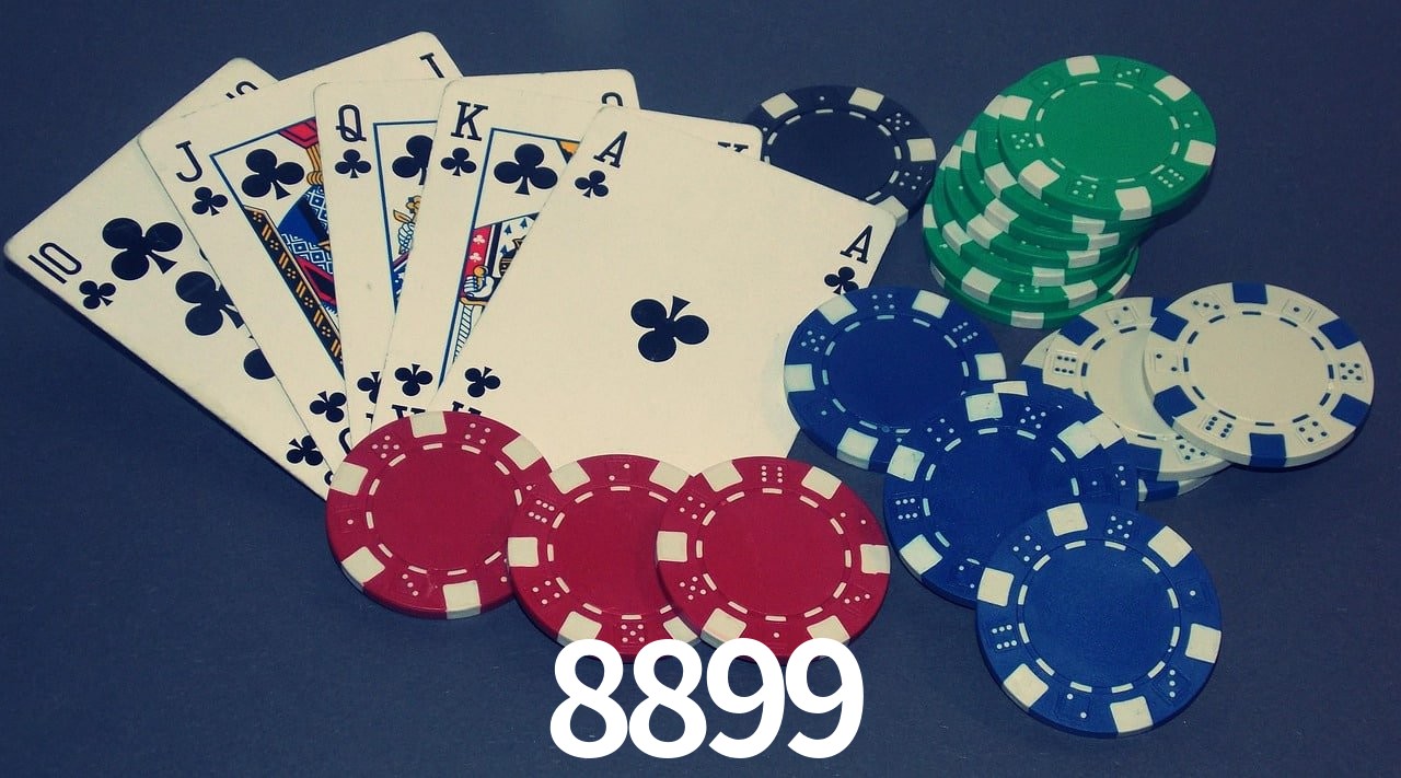 Experiência VIP 8899